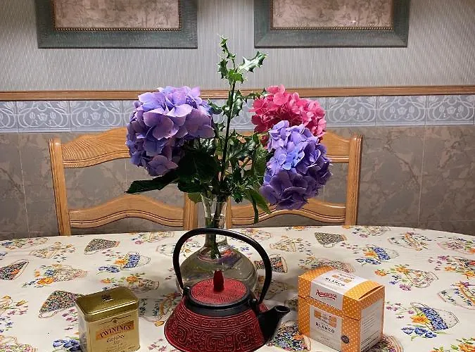 La Ostra De Mirakontxa Appartement